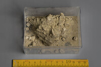 F 13056
<br/>
<br/>
<em></em>